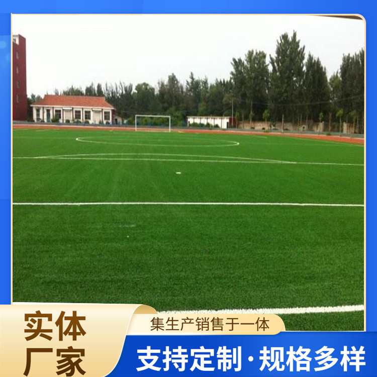 琼海市橡胶跑道人造草坪 - 推荐